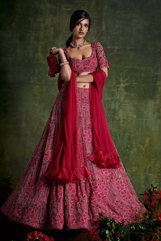 The Jazmine Sari