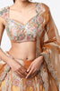 Copper juna Tissue Appliquéd And Embellished Lehenga With Blouse And Cutwork Tissue Dupatta