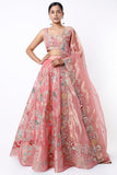 Pink Paper Dolls Tissue Appliquéd And Embellished Lehenga With Blouse And Cutwork Tissue Dupatta