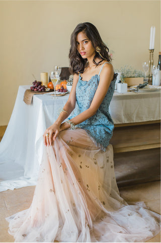 Blue Tasseled Lace Top with Tulle taupe skirt