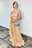 Nude Stone Embroidered Saree Gown