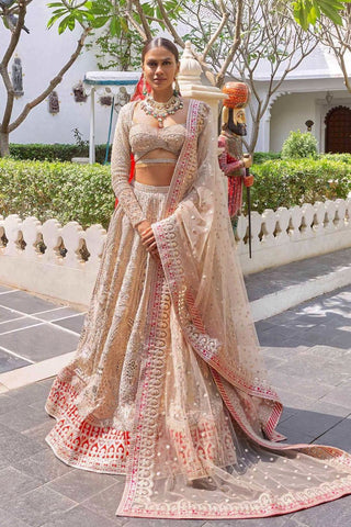 Nude Stone Embroidered Saree Gown