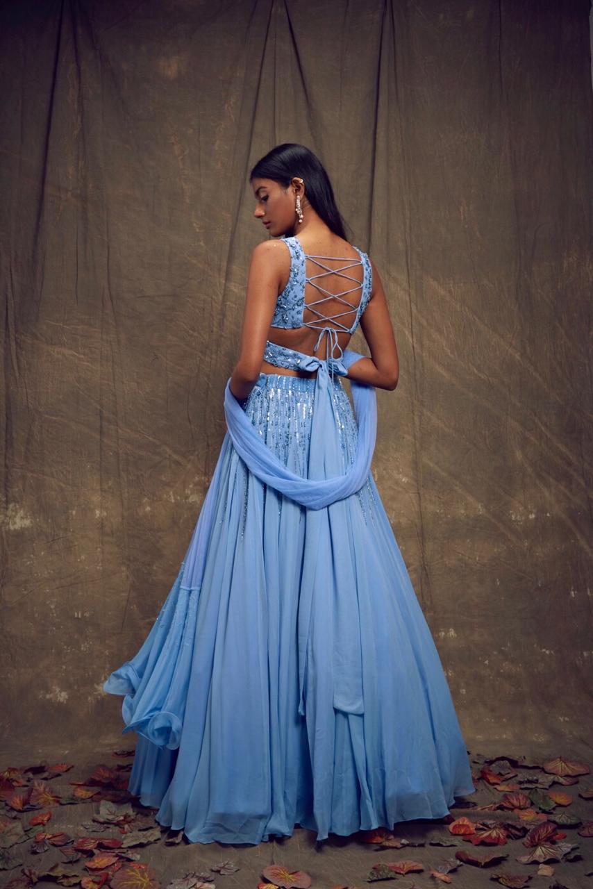 Light Blue Embellished Lehenga with Cut Out Blouse