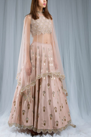 OFF WHITE GEORGETTE EMBROIDERED CHOLI AND SHARARA