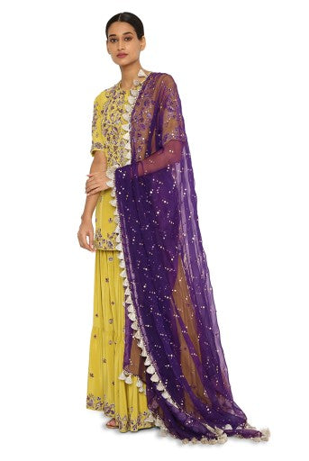 Imani Lime Green Colour Embroidered Kurta And Sharara With Purple Organza Dupatta
